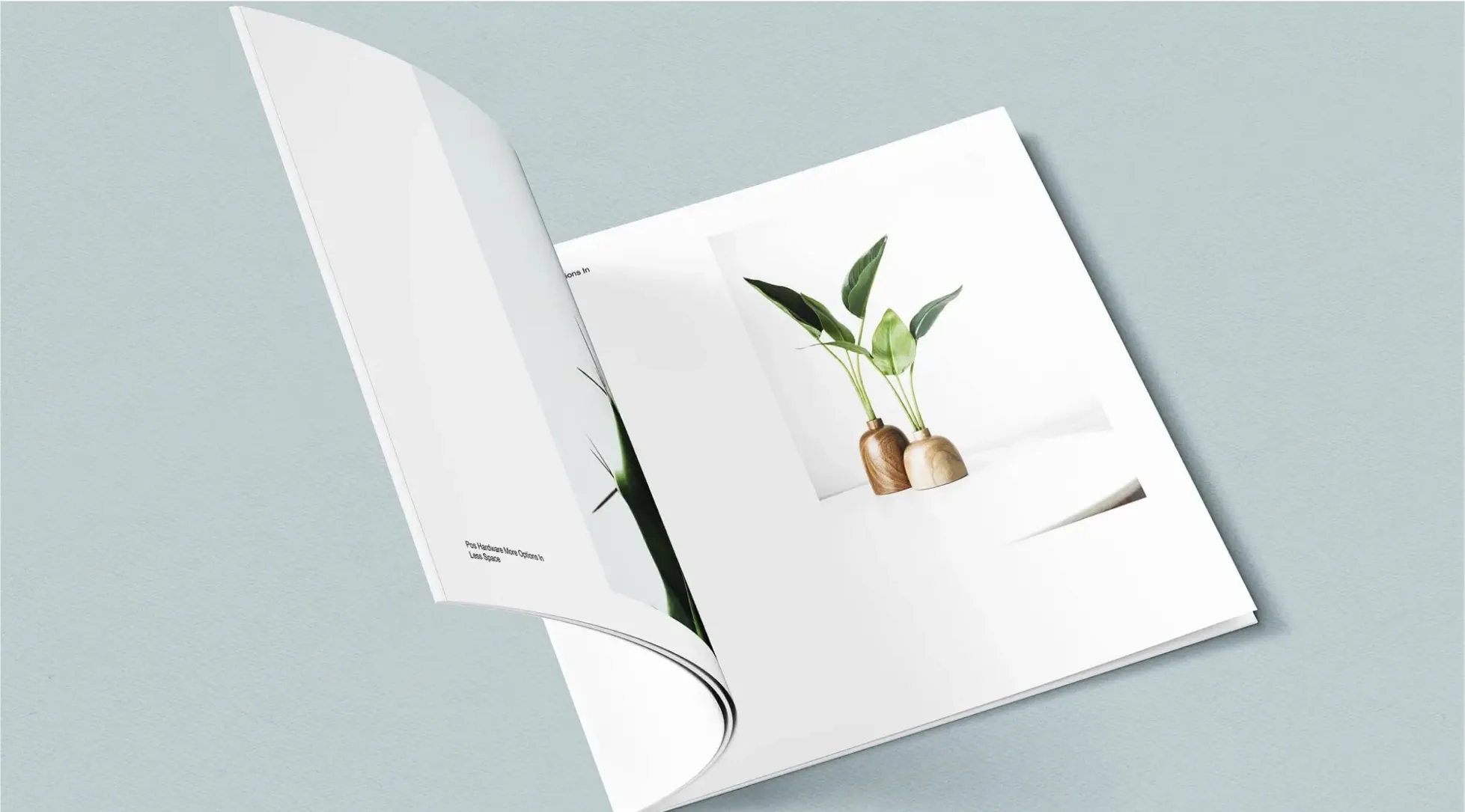 Orca Digital — Photorealistic